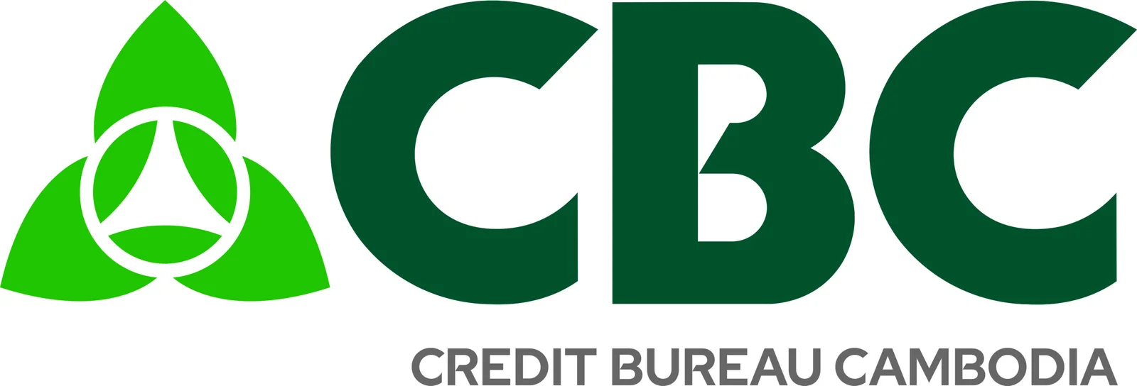 Credit Bureau